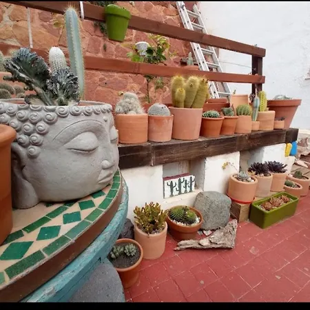 Apartment Casa Pura Vida *