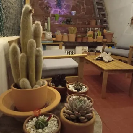 Casa Pura Vida Apartment Almeria